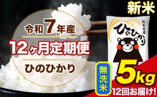 新米 令和7年産 【12ヶ月定期便】 ひのひかり 無洗米 5kg 5kg×1袋 計12回お届け 熊本県産 こめ コメ 無洗米 精米 荒尾市 ひの 米 定期 《お申込み月の翌月から出荷開始》