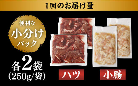 【全12回定期便】【塩だれ】九州産和牛 ホルモン 2種 計1kg（ ハツ 250g×2袋・ 小腸 250g×2袋） 長与町/岩永ホルモン [EAX141]国産 牛肉 ミックス 小分け 味付き 冷凍 焼