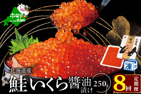 【定期便 8ヵ月】【250g×1パック 8回 お届け】計2kg  漁協 直送！本場「北海道」 いくら 醤油漬け【NKM08NQ05】（ いくら イクラ 鮭卵  醤油漬け 北海道 別海町 野付 人気 ふるさと納税 ）