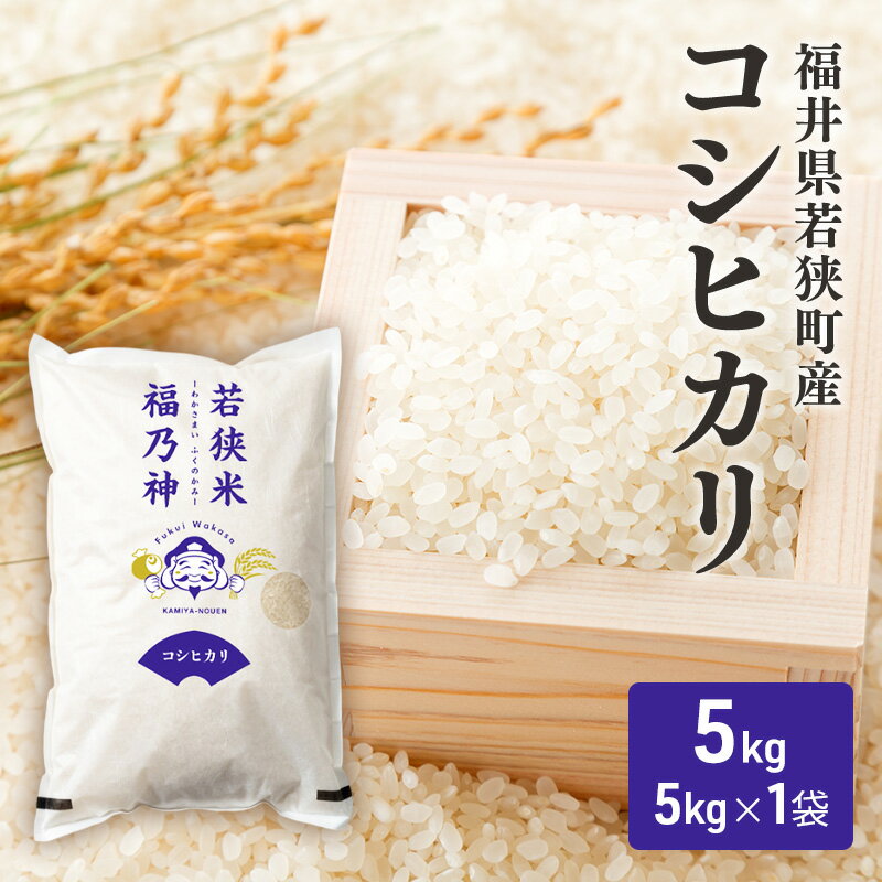 【ふるさと納税】令和7年産福井県若狭町コシヒカリ（一等米）5kg（神谷農園） 5kg×1袋 お米 ブランド米 銘柄米 ご飯 おにぎり お弁当 産地直送 和食 主食 　お届け：2026年10月以降発送