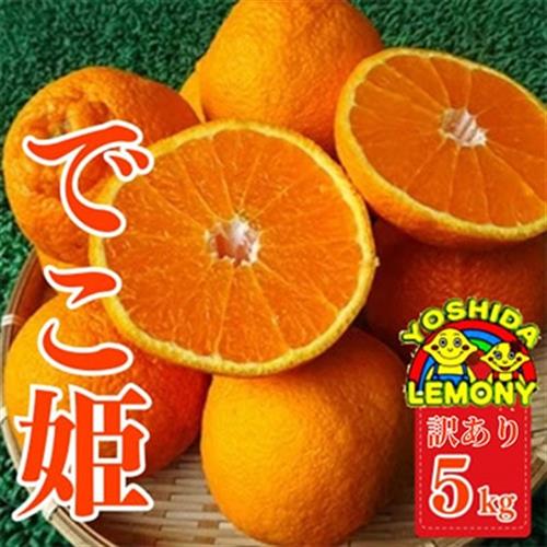 先行予約 不知火 でこ姫5kg(13～22玉)  【訳あり】【1075192】