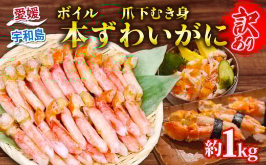 ＼10営業日以内発送／ カニ 蟹 訳あり ボイル 本ずわいがに 爪下むき身  約 1kg 本ズワイガニ ニューバーク kani 冷凍 訳アリ わけあり 訳あり品 ずわいがに カニ ズワイガニ ずわい蟹 ズワイ蟹 蟹 カニ脚 蟹脚 カニ棒肉 蟹 カニしゃぶ 人気のカニ ポーション 人気 カニ鍋 蟹鍋 鍋 愛媛 宇和島 D016-116019