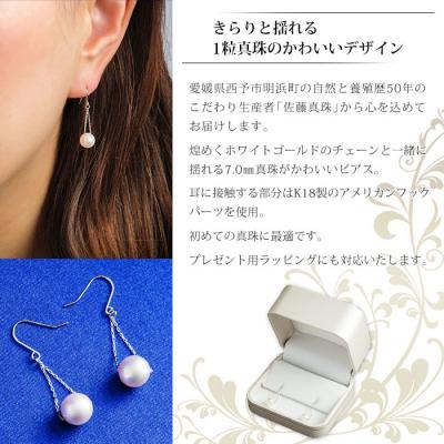 ふるさと納税 西予市 <真珠ピアス・トライアングル(ホワイトゴールド)>　ジュエリー　アクセサリー　パール　ファッション |  | 01