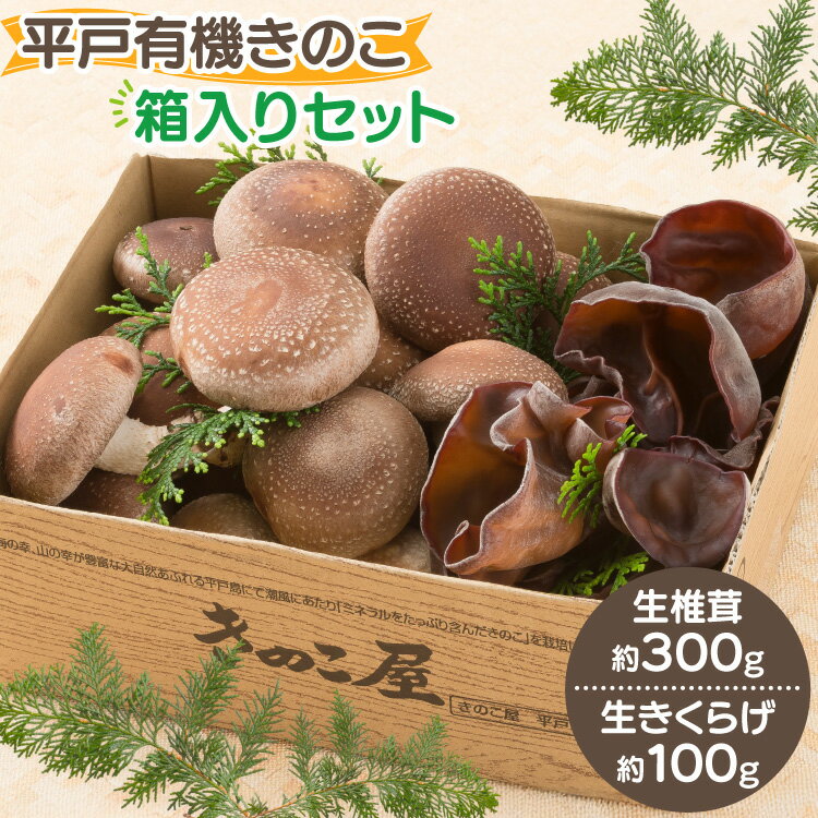 【ふるさと納税】きのこ しいたけ きくらげ 生椎茸 生きくらげ 箱入りセット [きのこ屋 長崎県 平戸市 hr42bgy410144] 有機 有機JAS 有機栽培 有機きのこ 有機しいたけ 箱入り ギフト セット