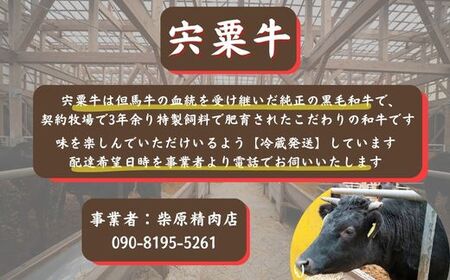 F10　宍粟牛贅沢セット【梅】