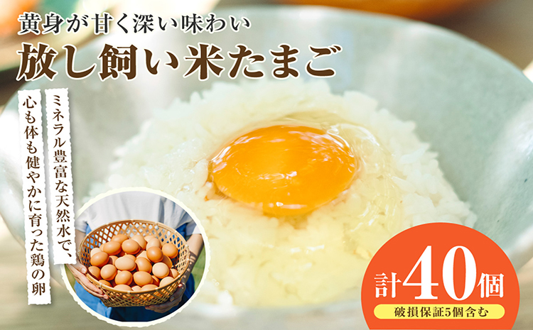 放し飼い米たまご35個+5個保証（計40個）