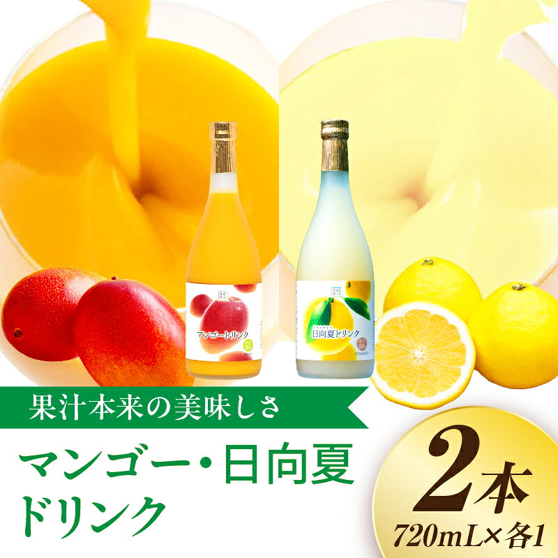 【ふるさと納税】あふれる果実感！マンゴー・日向夏ドリンク2本セット(各720ml) ドリンク フルーツドリンク 果汁ドリンク トロピカルジュース 果実飲料 飲み比べ セット 詰め合わせ 贈答 贈り物 ギフト プレゼント お中元 お歳暮 宮崎果汁 宮崎県 串間市 送料無料