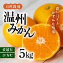 【ふるさと納税】【先行予約】【数量限定】温州みかん5kg【石崎農園】｜柑橘 みかん 温州みかん ミカン 蜜柑 果物 フルーツ 愛媛県産 ※離島への配送不可 ※2024年12月頃より順次発送予定