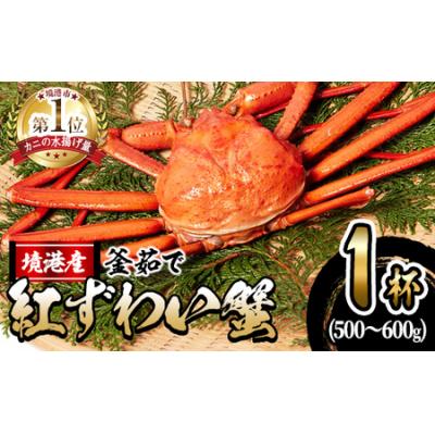 ふるさと納税 境港市 蟹屋の釜茹で紅ずわい蟹(大)【10月1日から順次発送】