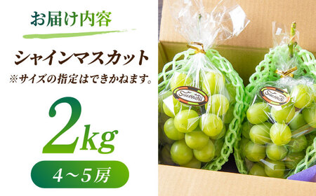 【先行予約】【数量限定】【訳あり】シャインマスカット 約2kg(4～5房)【合同会社 社方園】[ZBZ032]