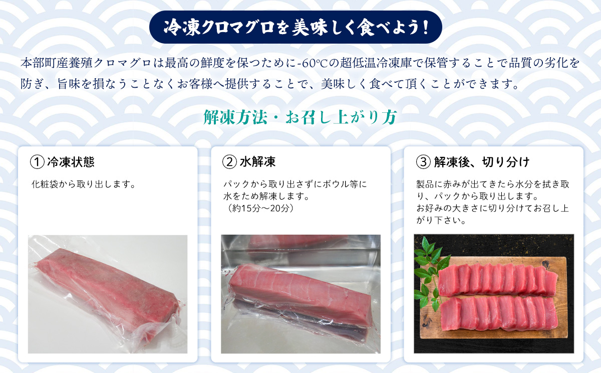 本部町産　本マグロづくし（大トロ・中トロ・赤身）約800g～1000g 鮪 本マグロ 送料無料 ギフト グルメ お祝い 贈答品 プレゼント 土産 お取り寄せ 柵 大トロ 上トロ 中トロ 赤身 刺身 さ