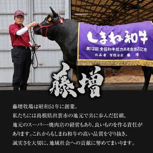 藤増 しまね和牛小間切り 600ｇ【冷凍】