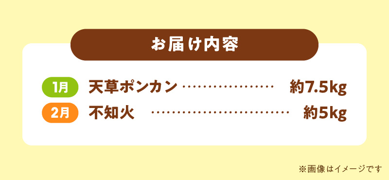 S040-T06_【定期便2回】天草　下浦特産の柑橘2種Ｂセット（訳あり）【先行受付】