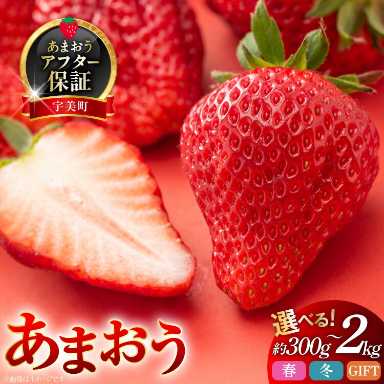 【ふるさと納税】【期間限定発送】 いちご あまおう 選べる 量 冬 福岡産 2パック 4パック 8パック 12～15粒 24～30粒 [南国フルーツ 福岡県 宇美町 um40azo970034] 先行予約 イチゴ 苺 フルーツ 果物 果実 甘い あまい 小分け