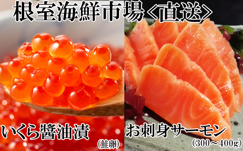 いくら醤油漬け70g×1P・刺身用トラウトサーモン(背)300～400g×1本 A-11209