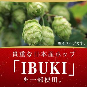 横浜工場製キリン　スプリングバレー(SPRING　VALLEY)豊潤〈496〉 350ｍl １ケース（24本入） | スプリングバレー キリンスプリングバレー 豊潤 キリンビール 麒麟ビール スプリン