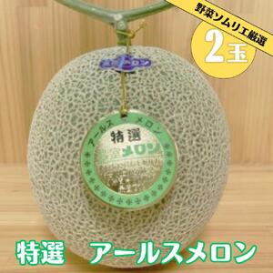 《先行予約》アールスメロン 2L× 2玉 メロン めっくんはうす