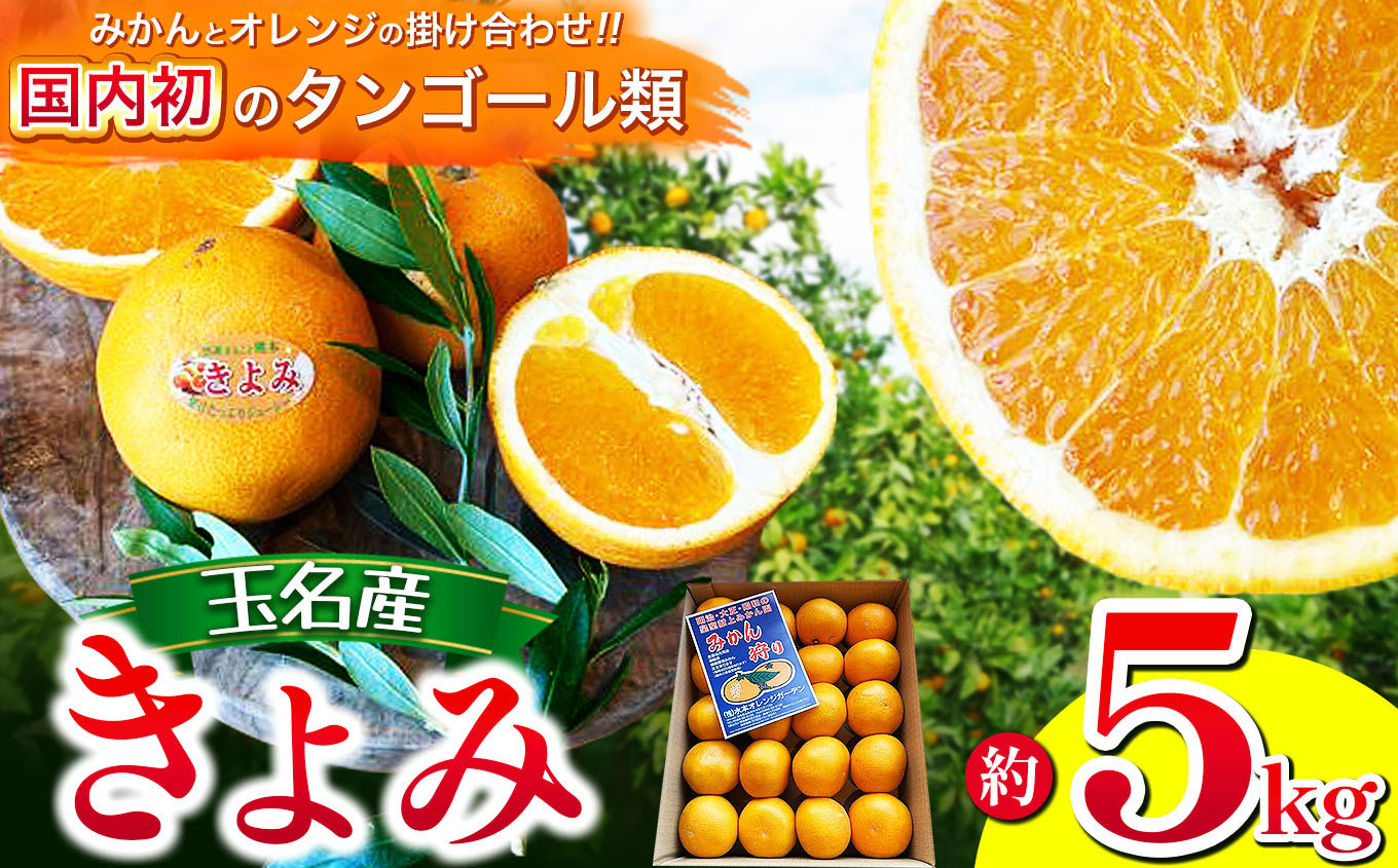 
            きよみ 熊本玉名産 5kg 水本オレンジガーデン | 果物 くだもの 柑橘 ミカン みかん オレンジ  熊本県 玉名市 
          