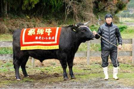 お好きなカット可能! 飛騨牛 リブロースブロック 5kg【D-39】