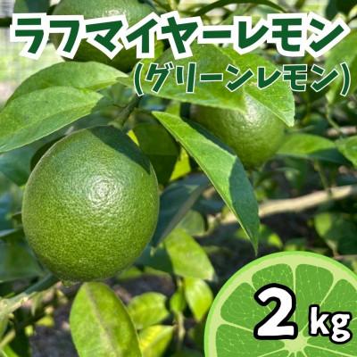 ふるさと納税 上毛町 【10月上旬〜11月上旬発送】上毛町産ラフマイヤーレモン　2kg(グリーンレモン)(上毛町)