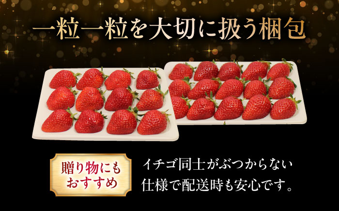 【12月～3月20日順次発送】水素水で育ったいちご「安芸こまち」2段箱入り（約850g）（24粒～36粒入） 低農薬 苺 イチゴ 高級 フルーツ 果物 ベリー ギフト 贈答 三次市/田中電機工業 [A