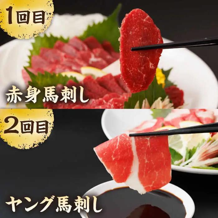 【6回定期便】毎月違う部位が届く！【馬刺しの郷 民守】 赤身 ヤング 霜降り馬刺し 食べ比べ [ZBL019]