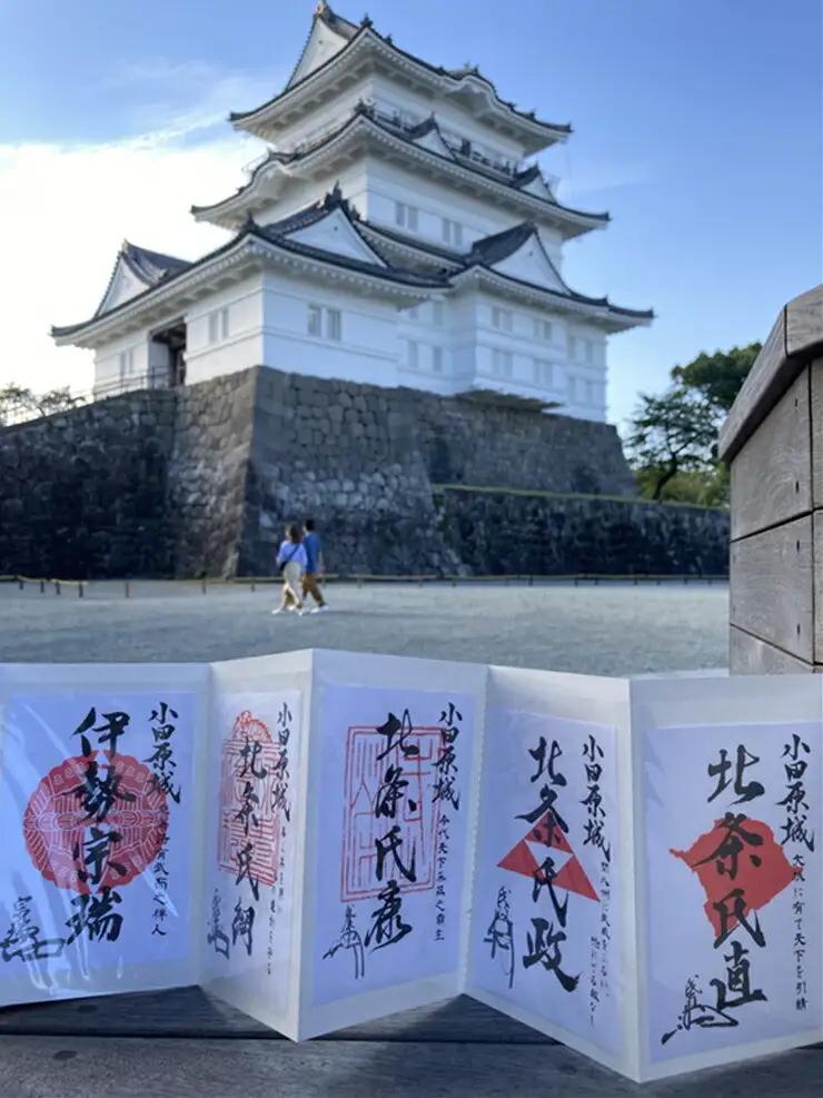 小田原城御城印・御城印帳・石垣山城御城印・北条五代武将印・小田原城天守閣展示案内セット【御城印 武将印 展示案内1冊 常設展示図録 小田原城 武将 城 天守閣 歴史 平成の大改修 美術工芸 石垣山城 