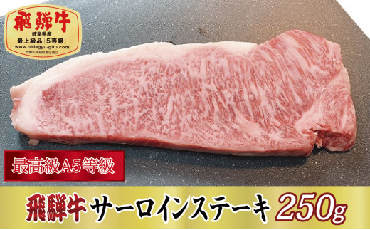 
[№5927-0277]【最高級A5等級】飛騨牛サーロインステーキ250g
