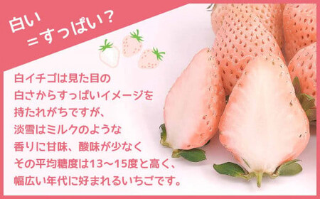 【年末年始発送】白いちご 淡雪 ご家庭用 約1000g ｜ 西谷農園