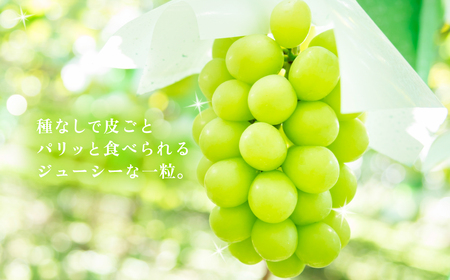【 2025年 先行予約 】 シャインマスカット 1房 （ 700g以上 ）【 石崎ぶどう園 】（ 2025年8月下旬から9月下旬頃発送予定 ）【 果物マスカット フルーツマスカット 下妻マスカット 