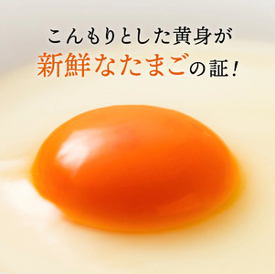 【累計600万個突破！】【TVで紹介されました】【定期便】タズミの卵Ｌサイズ（30個×12ヶ月）097AB01N.／こだわり卵 市川町産 兵庫県産 たまご たまごかけご飯 玉子 生卵 鶏卵 タマゴ 卵