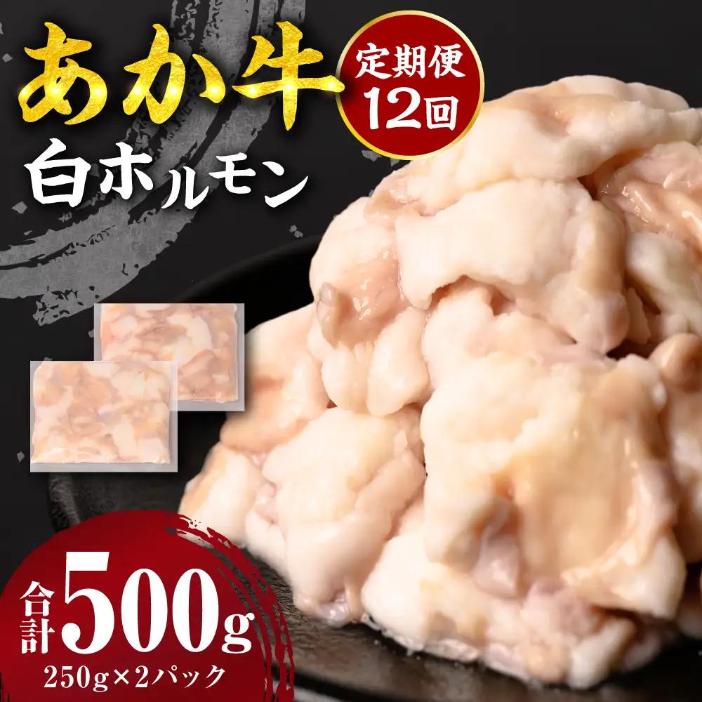 【定期便12回】 あか牛 白ホルモン 500g 250g×2パック