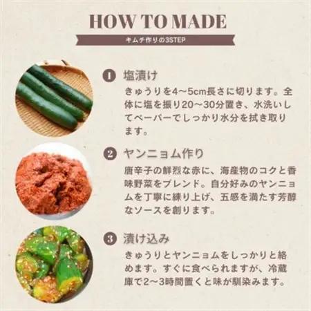 オイキムチ(500g)きゅうりキムチ　慶尚北道英陽産の唐辛子使用!自家製ヤンニョム　絶品おつまみ【配送不可地域：離島】【1718991】