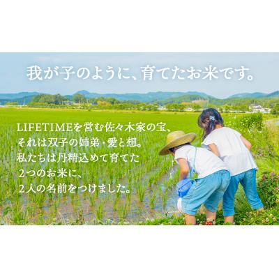 ふるさと納税 石巻市 【 先行受付 】ササシグレ 玄米 5kg 新米 米 お米 節減対象農薬不使用 化学肥料不使用 コメ |  | 01