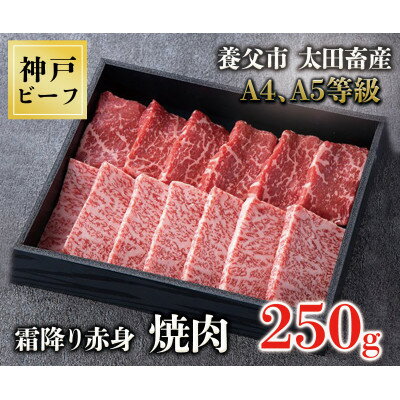 【ふるさと納税】神戸牛　霜降赤身焼肉 【化粧箱】(250g/450g)【配送不可地域：離島】【G1428068】