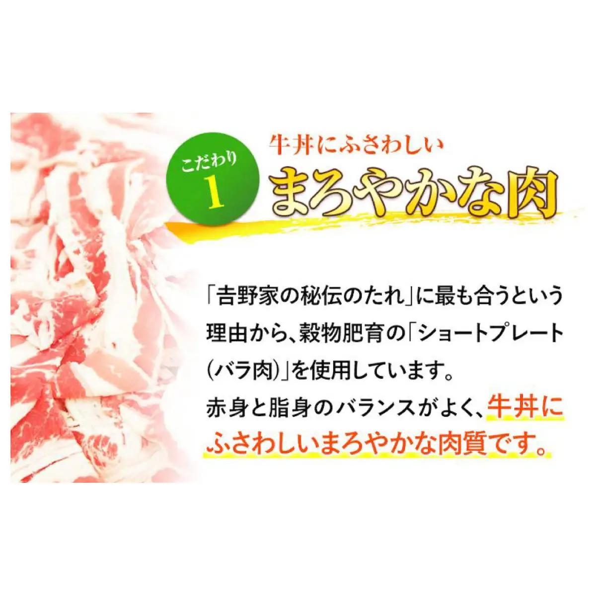 【定期便 4ヶ月】吉野家 人気５種２０袋バラエティセット（冷凍） 牛丼 レトルト 非常食 防災食 お楽しみ 新潟