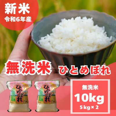 【令和6年産 新米】【無洗米】 奈良県産 ひとめぼれ 10kg (5kg×2)【1556539】