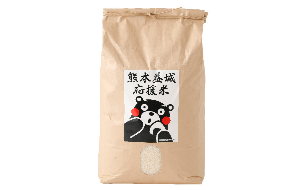 【6ヶ月定期便】復興 応援米 10kg 計60kg お米 コメ ごはん