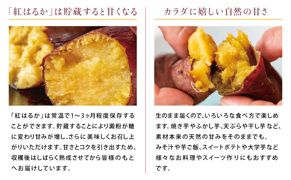 【鹿児島県産】生さつまいも「紅はるか」約3kg ★11月以降順次出荷★ 冬季限定 先行受付 さつまいも 生いも 生芋 焼き芋 さつま芋 甘藷 サツマイモ べにはるか スイーツ 野菜 貯蔵 常温保存 旬