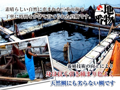（冷蔵） 真鯛 捌いてお届け （ 三枚おろし 皮付 ）／ マルカ水産 活〆 真空パック アラ お刺身 しゃぶしゃぶ お造り 煮物 お吸い物 縁起物 三重県 南伊勢町