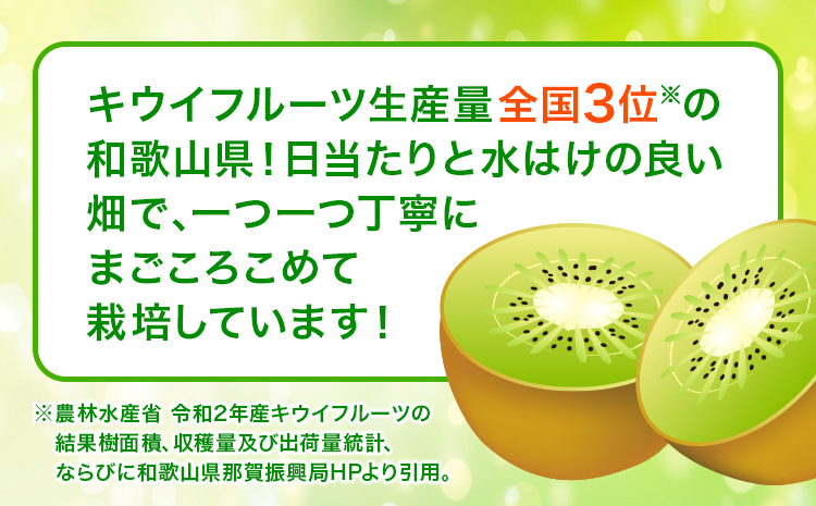 和歌山県紀の川市産 キウイ約5kg ときわオンライン《12月下旬5月中旬頃出荷》 和歌山県 紀の川市 キウイ キウイフルーツ 果物 フルーツ 送料無料