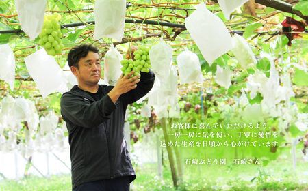 【2025年 先行予約】シャイン マスカット & 梨 人気 フルーツ 食べ比べ セット【2025年 9月上旬ころ～9月中旬ころ発送予定】シャインマスカット 1房 700g以上 梨 2玉 豊水 or あ