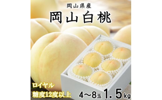 先行受付＜2025年7月上旬より発送＞岡山白桃 ロイヤル 4～8玉 1.5kg 岡山県産 TY0-0261