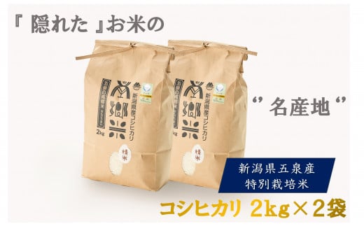 【先行予約】令和6年産 特別栽培米 新潟県五泉産コシヒカリ 「南郷米」 4kg 精米 新潟県 五泉市 ファームみなみの郷