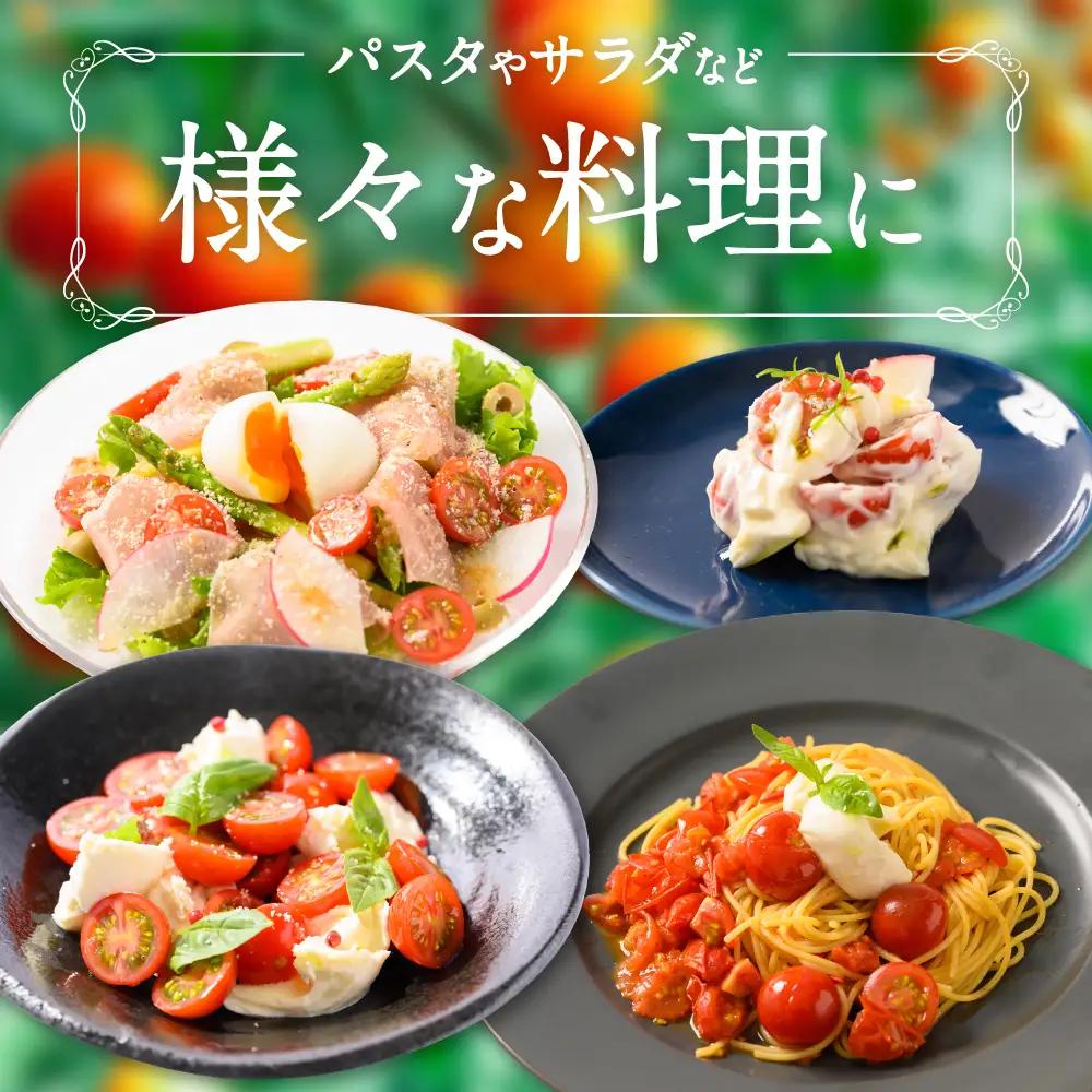 トマト 【先行予約】 【定期便3回】 野菜ソムリエ 岡田健志郎が育てた　ミニトマト 3kg以上 【2026年12月上旬より順次発送】 トマト