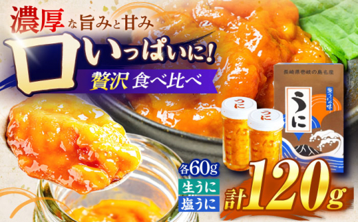 生うに 塩うに 食べ比べセット《壱岐市》【合同会社塚元】ムラサキウニ 生ウニ 塩ウニ 海産物 海鮮 ウニ うに 雲丹 珍味 冷凍配送 [JDR024]