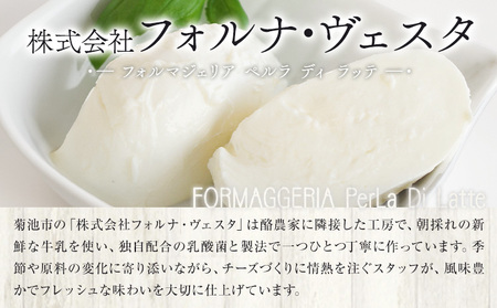モッツァレラチーズ ミル爆 3個 チーズ モザレラ 株式会社フォルナ・ヴェスタ《90日以内に出荷予定(土日祝除く)》フレッシュ カプレーゼ おつまみ 前菜 手作り 国産 熊本県 菊池市 送料無料