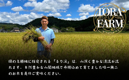 キヌヒカリ 5kg 米 お米 トラファーム キヌヒカリ