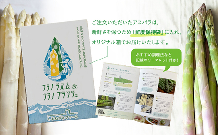 先行予約 【 2025年 発送 ！】北海道 上富良野産 ホワイトアスパラガス 3L サイズ 900g アスパラ ホワイトアスパラ 上富良野町 令和6年発送 先行受付 野菜 やさい