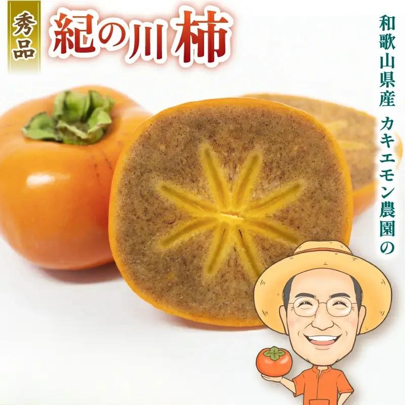 柿 紀の川柿 約2kg【2026年10月中旬～11月下旬頃順次発送】【BX-kkem005A】